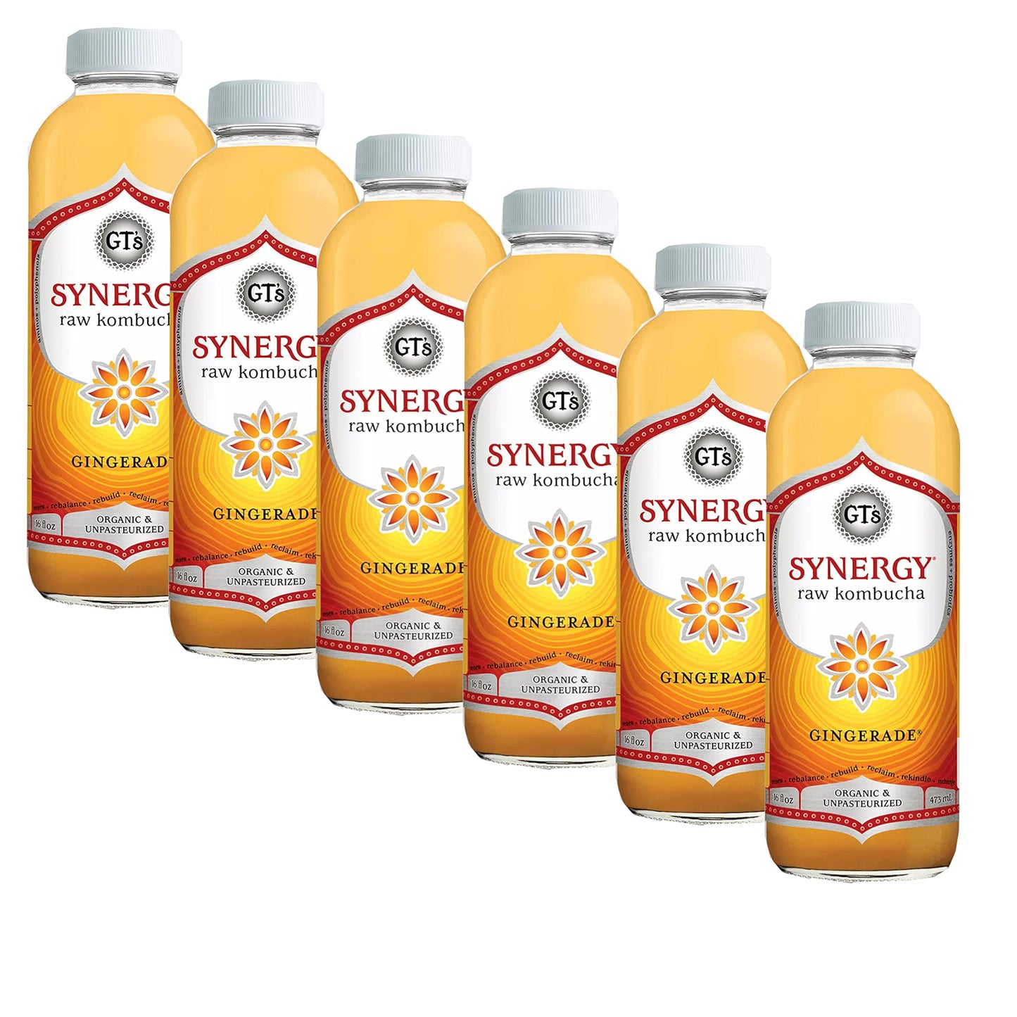 Gourmet Kitchn GT'S Organic & Unpasteurized Raw Kombucha Gingerade - Enzymes and Probiotics - The Perfect Palate Pleaser for New