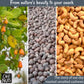 Cashews Roasted Unsalted | 2 Lb | Dry Roasted Unsalted Cashews | Packed In New York Zip-Seal Bag For Exceptional Freshness By Oh Nuts