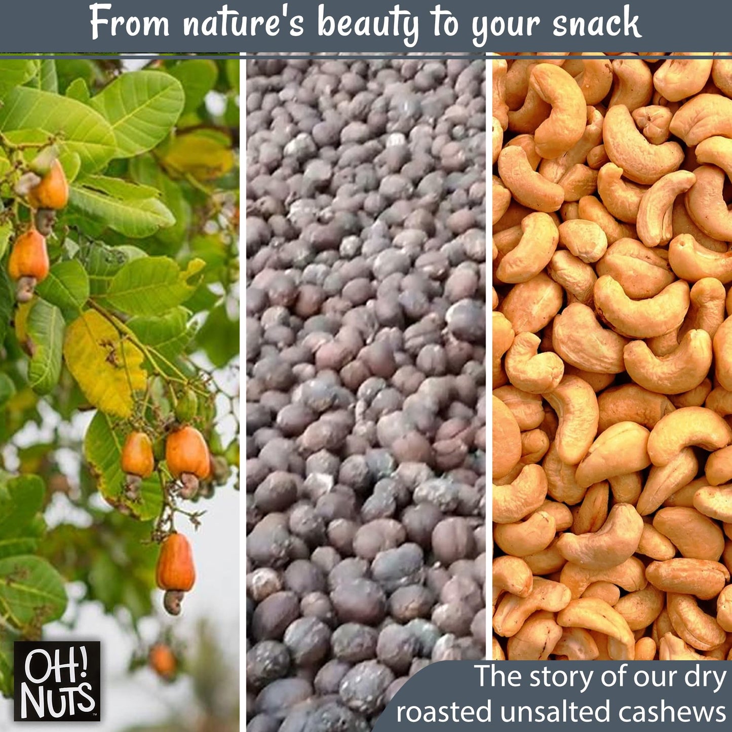 Cashews Roasted Unsalted | 2 Lb | Dry Roasted Unsalted Cashews | Packed In New York Zip-Seal Bag For Exceptional Freshness By Oh Nuts