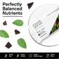 Sans Meal Replacement Protein Bar, Gluten Free, Healthy High Protein Snacks, High Fiber, No Sugar Added, Dairy Free, Soy Free, Mint Cacao, 12 Bars