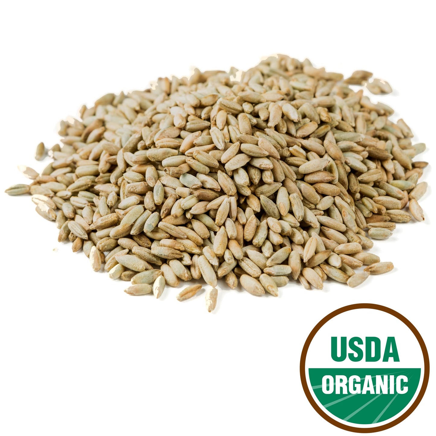 Myco Buddy Organic Rye Berries - Non-GMO, Kosher, Raw Whole Grain - 5 lbs
