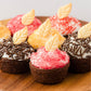 Sweets Indeed Natural Fall Sprinkles 6-Cell Jar - 2.75 oz | Dye-Free Chocolate Jimmies & Red & Orange Sanding Sugars | Autumn & Thanksgiving Cupcake & Cookie Decorations