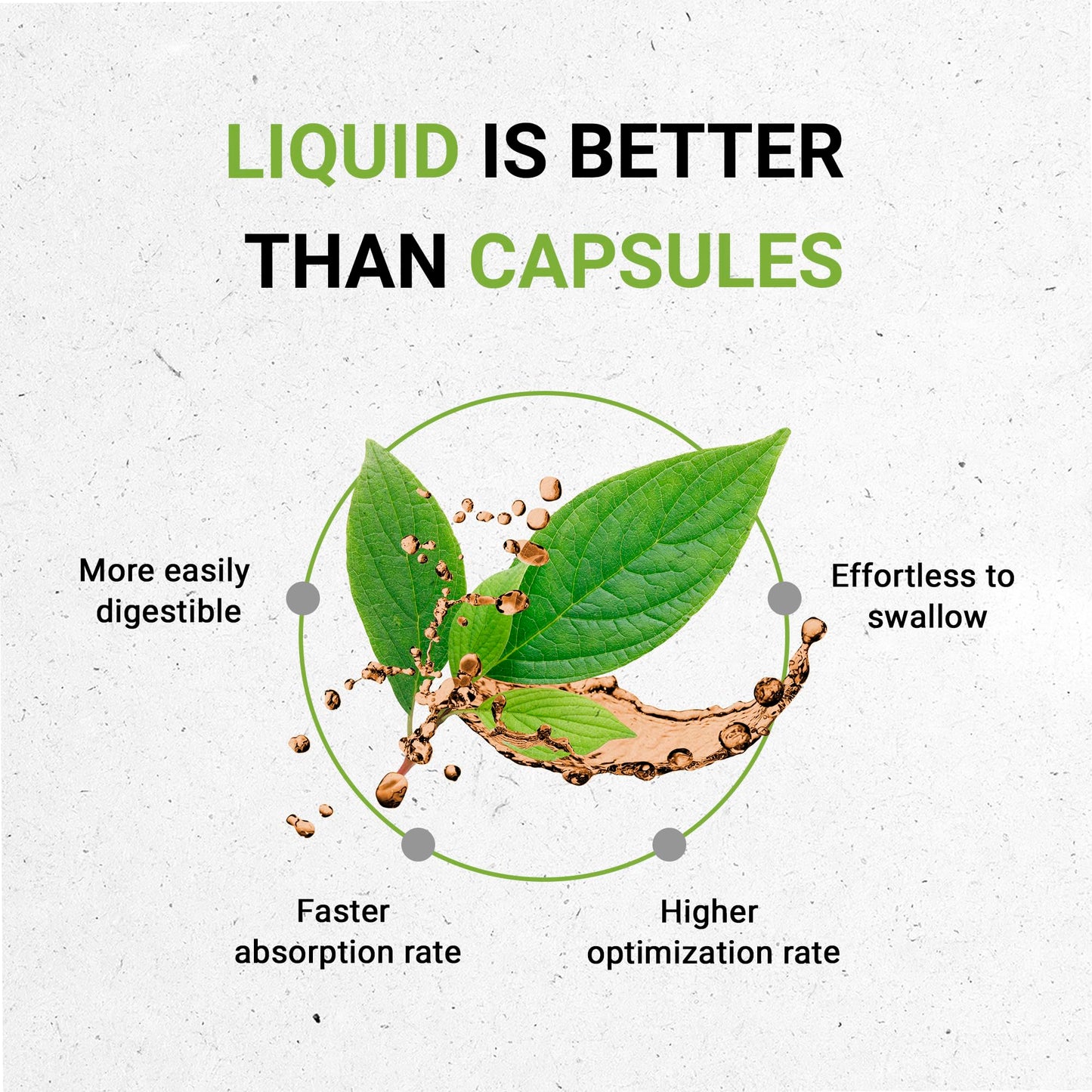 Secrets of the Tribe Coriander Extract - USDA Organic,   -Free, High-Potency Herbal Drops, 4 Fl Oz