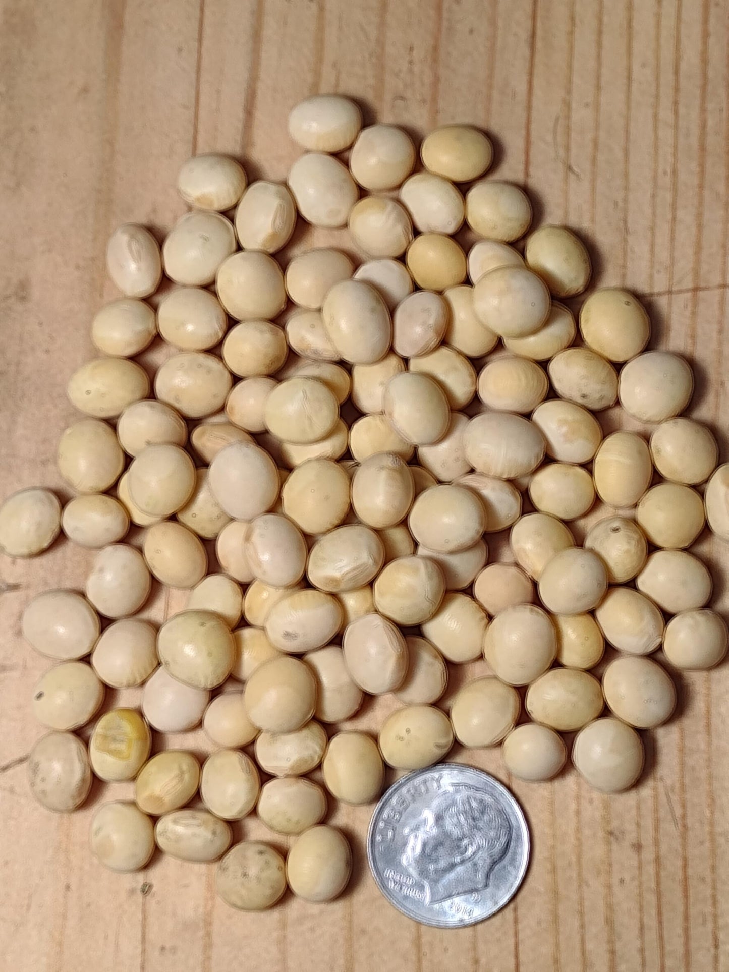 Organic Soybeans- Nongmo, 5 Lbs., Farmer Direct, Identity Preseved, Dry Soybeans For Tofu And Soymilk.
