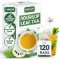 LeafLea Soursop Tea Bags - 100% Natural Graviola Leaves, Caffeine-free, Pack of 3 (120 Tea Bags)