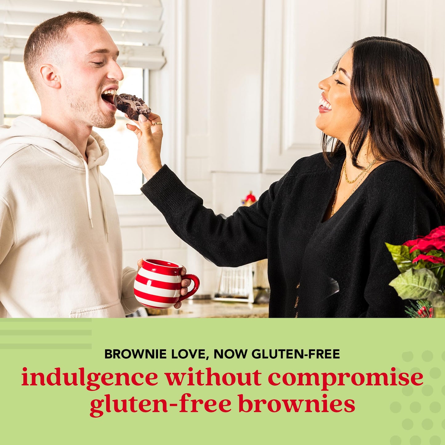 Davids Cookies Gluten-Free Chocolate Chip Brownies 9 Pack - Decadent Fresh Baked Gourmet Brownie Basket Treats - Great For Shari
