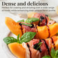 FONDO MONTEBELLO Aged Balsamic Glaze, High Density Drizzle, 8.45 fl. oz. (250ml) - Imported from Italy