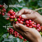 Original Gourmet Coffee Gift Set For Men & Women - 7 Worlds Finest Single Origin Specialty & Organic Coffees In Innovative Malt-Inspired | Sampler Box For Coffee Lover To Brew & Enjoy Anytime, Anywhere