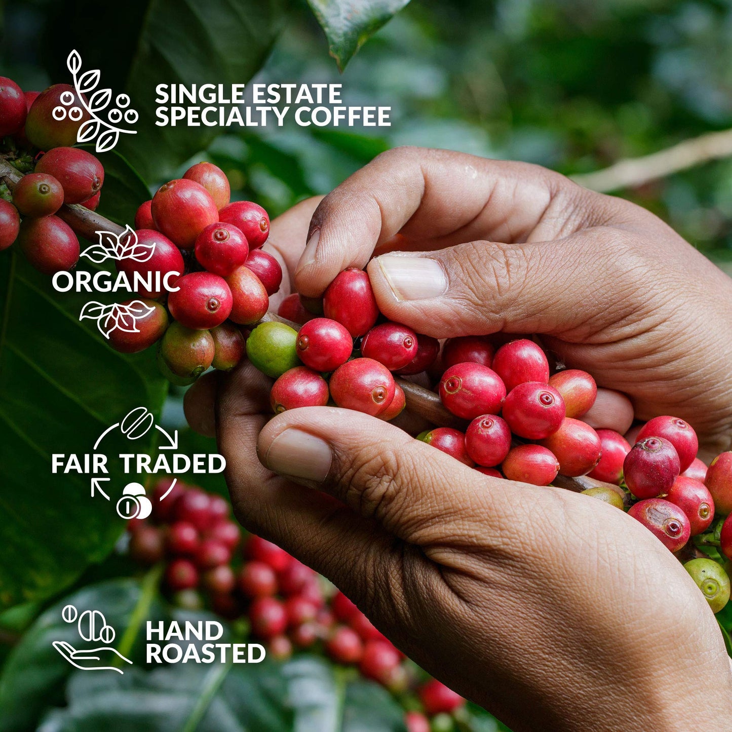 Original Gourmet Coffee Gift Set For Men & Women - 7 Worlds Finest Single Origin Specialty & Organic Coffees In Innovative Malt-Inspired | Sampler Box For Coffee Lover To Brew & Enjoy Anytime, Anywhere