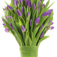Blooms2Door Mothers Day Flowers - 50 Purple Tulips, Fresh Cut, Farm-Fresh, USA Grown, Model KBDF1195-V999-A999