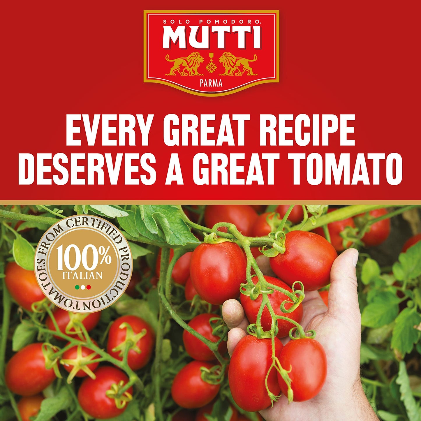 Mutti Crushed Tomatoes (Polpa), 14 oz. | 12 Pack | Italys #1 Brand of Tomatoes | Fresh Taste for Cooking | Canned Tomatoes | Veg