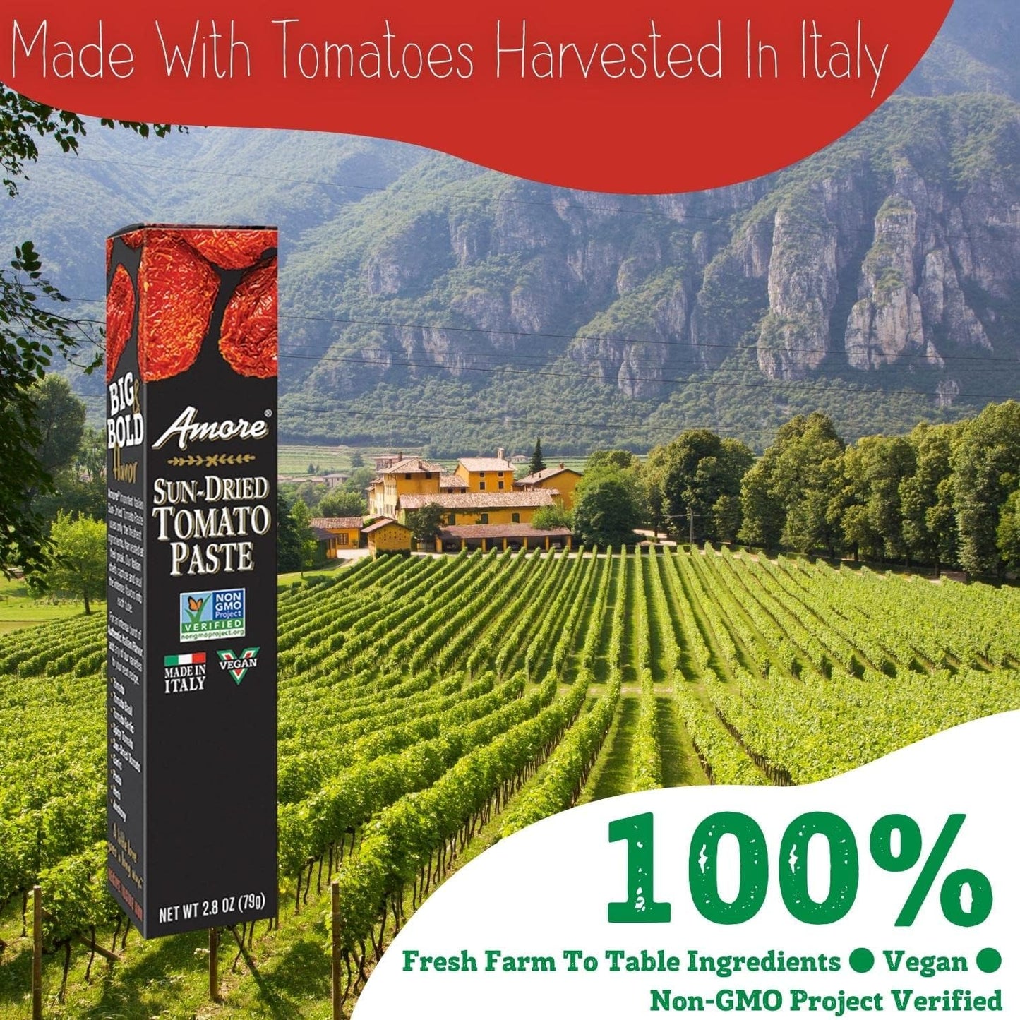 Amore Vegan Sun Dried Tomato Paste In A Tube - Non GMO Certified and Made In Italy (Pack of 1)