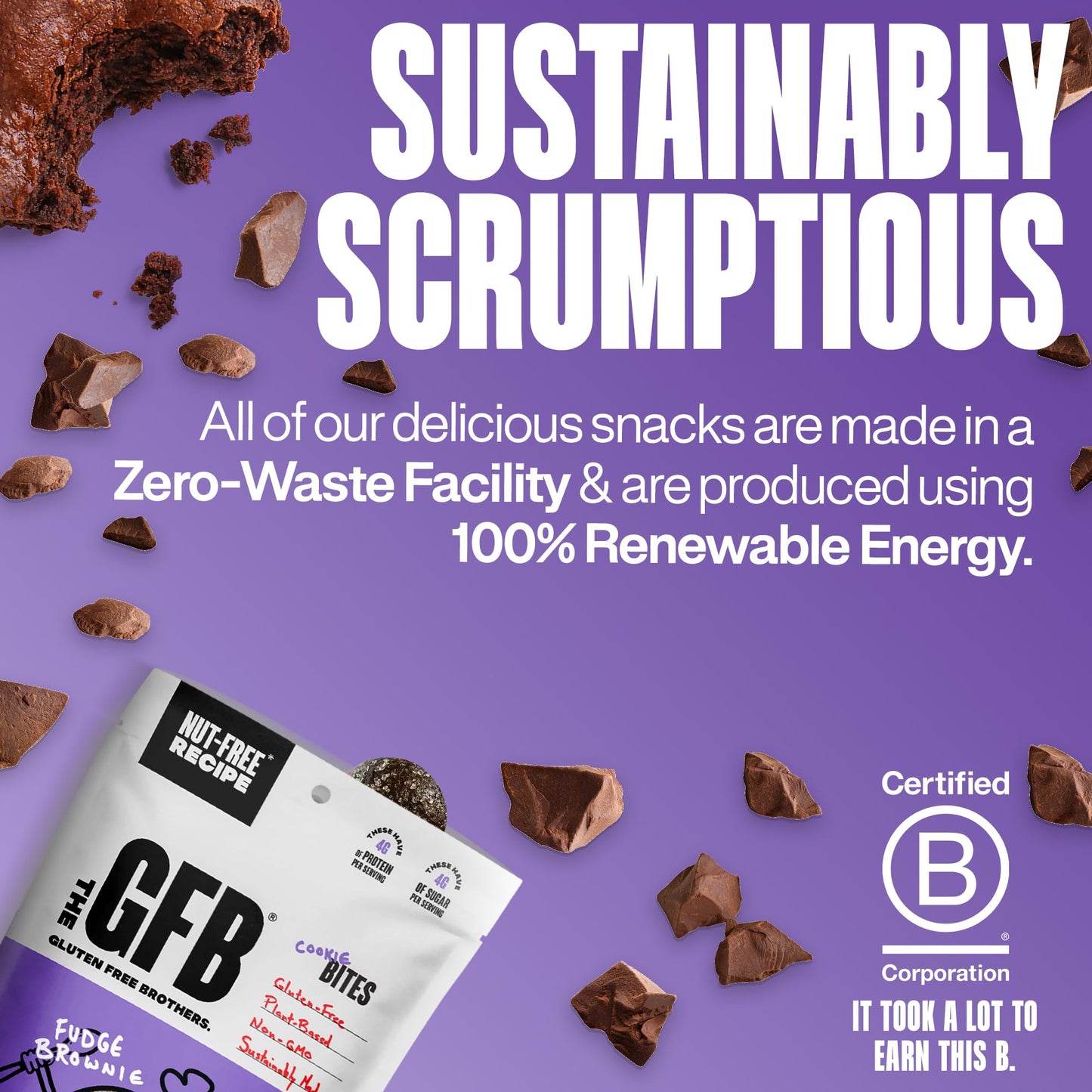 The Gfb Fudge Brownie Cookie Protein Bites - Allergen Friendly & Nut Free - Gluten Free, Plant Based, Non Gmo, Sustainably Made – Ridiculously Tasty, Healthy, Protein Energy Balls, 4 Oz (6 Count)