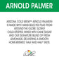 AriZona Arnold Palmer Premium Cold Brew Iced Tea & Lemonade, 16 Fl Oz, Pack of 12 - Refreshing Cane Sugar Beverage