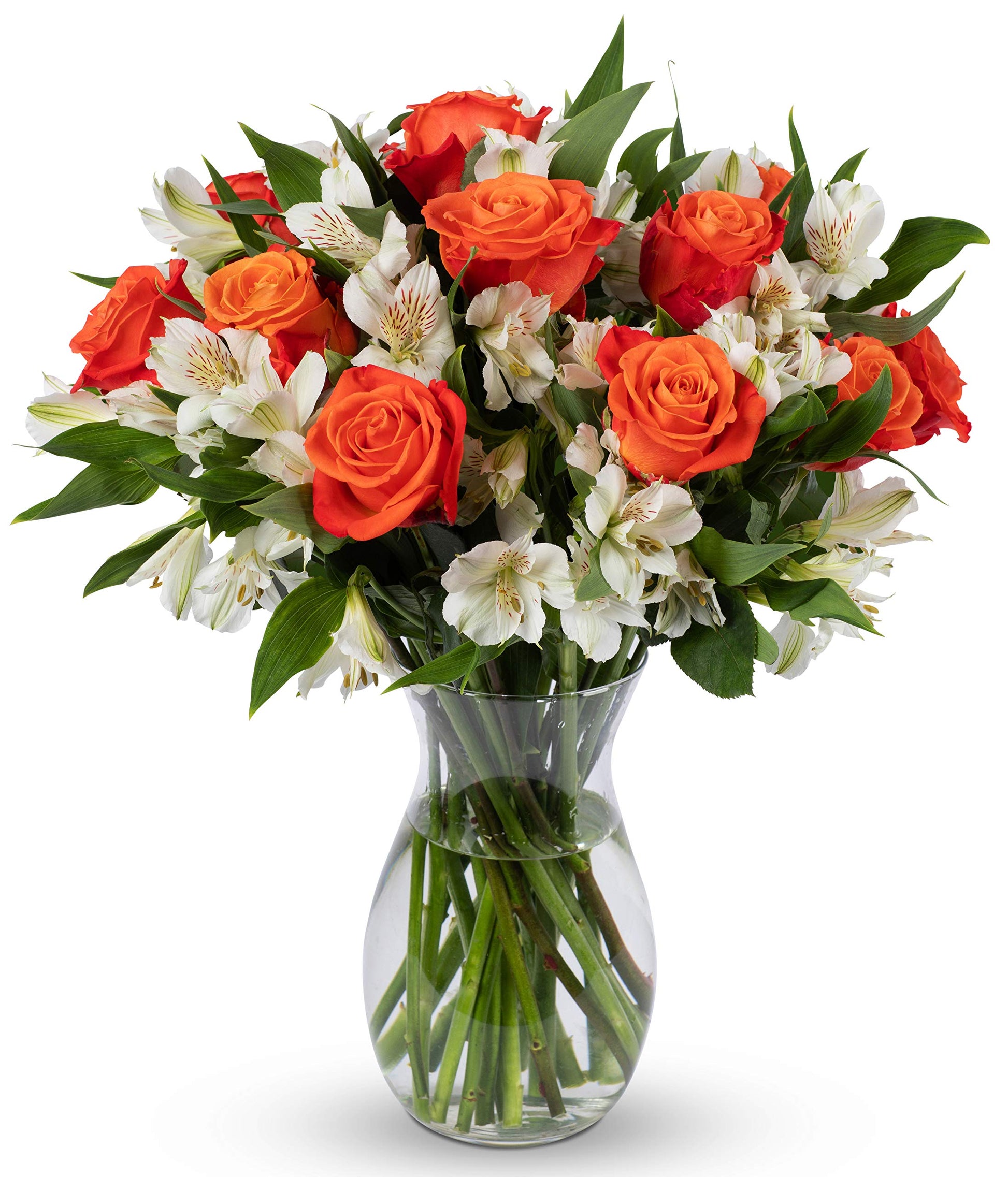 Benchmark Bouquets - Dazzling Roses & Alstroemeria (Glass Vase Included) - Fresh Flowers for Delivery - Gift for Graduation, Bir