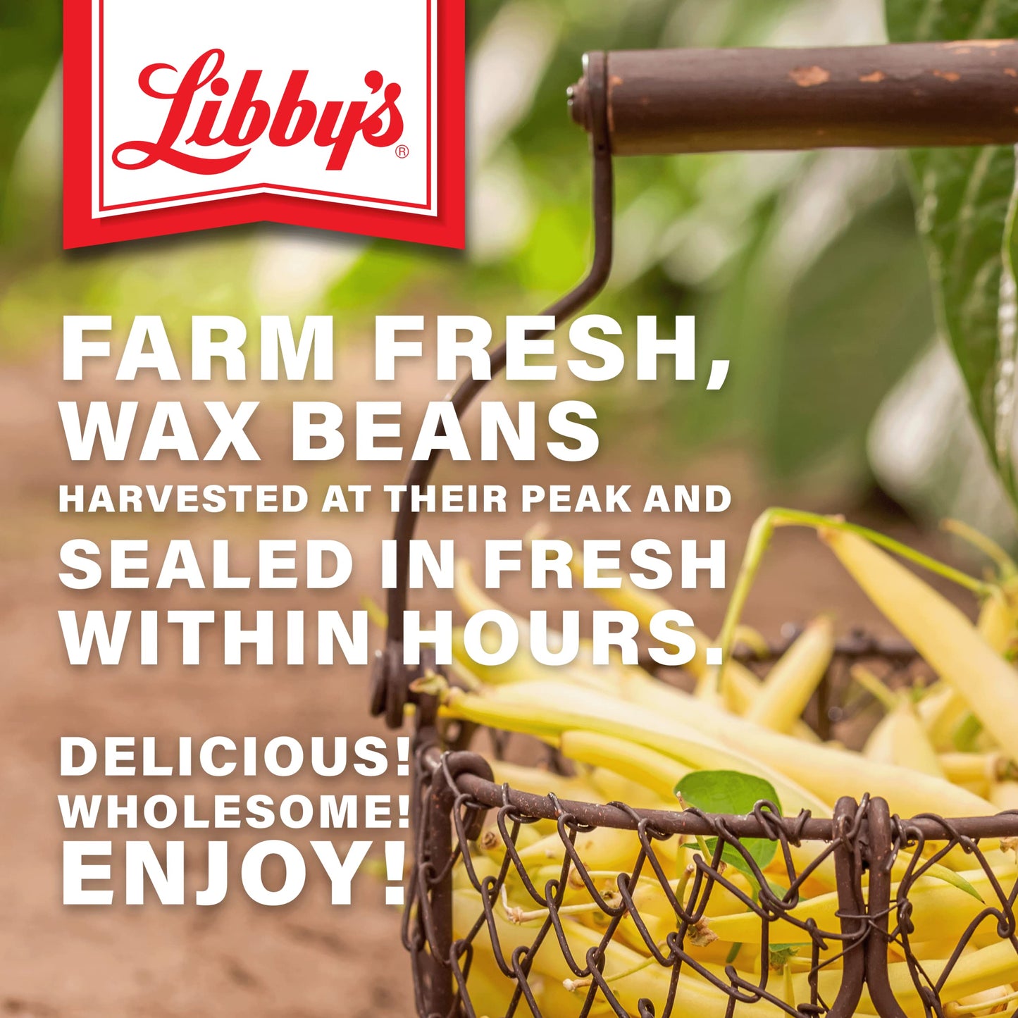 Libby'S Cut Wax Beans | Delicious, Mild & Subtly Sweet | Crisp-Tender Bite | Pale Yellow Beans | Grown & Made In Usa | 14.5 Oz (