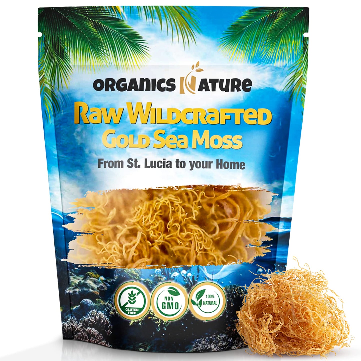 ORGANICS NATURE Raw Wildcrafted Sea Moss Gel - 4 oz, Organic, Non-GMO, Brown, Immune Support, Energy, Essential Minerals & Vitamins