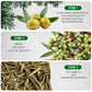 TeaDreamTea Olive Leaf Loose Tea, Premium Herbal Tea, Caffeine-Free, 4oz Size