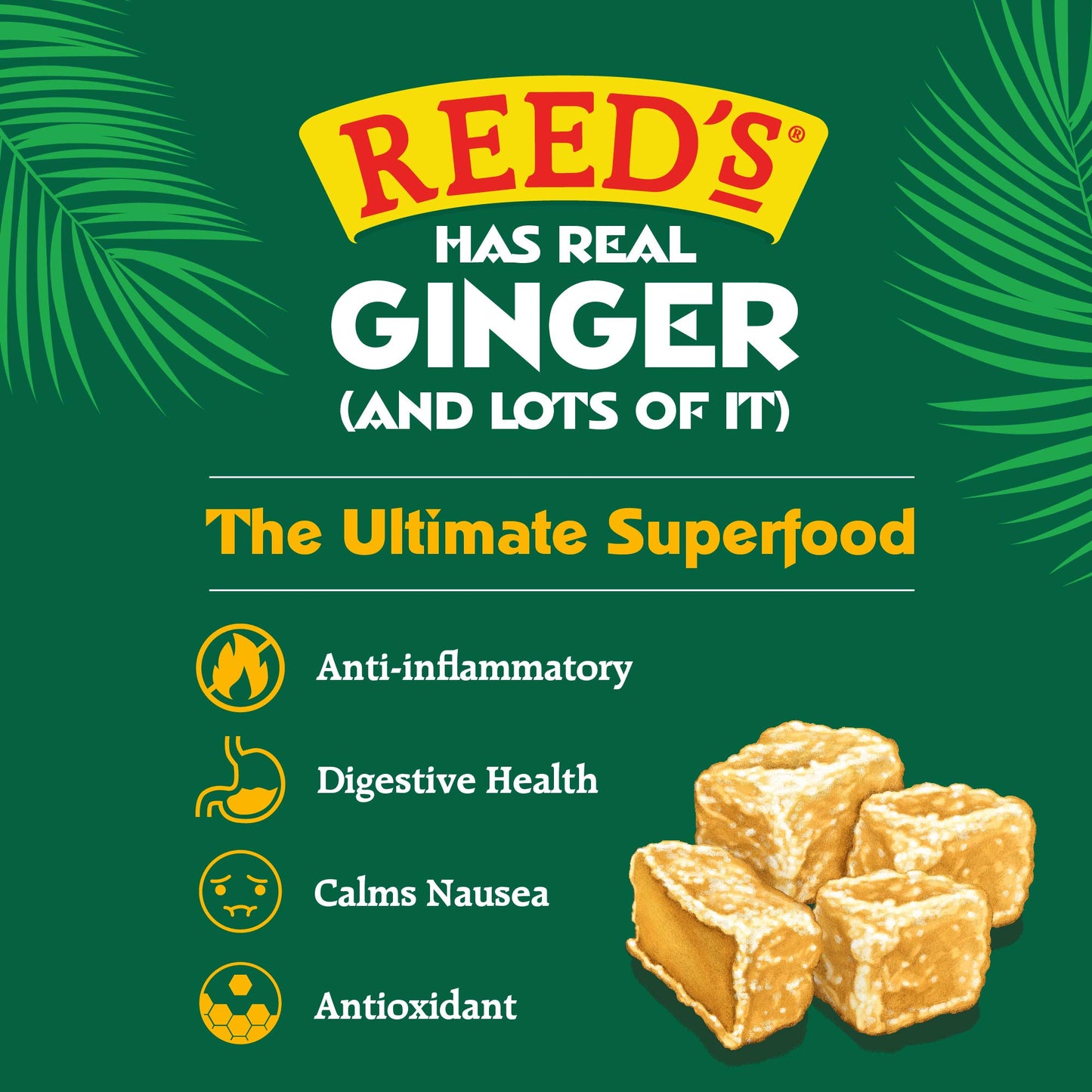 Reed'S All Natural Crystallized Ginger Nuggets In A 16 Oz Resealable Bag - Baby Ginger Root Fruit Slices Sweetened With Raw Cane