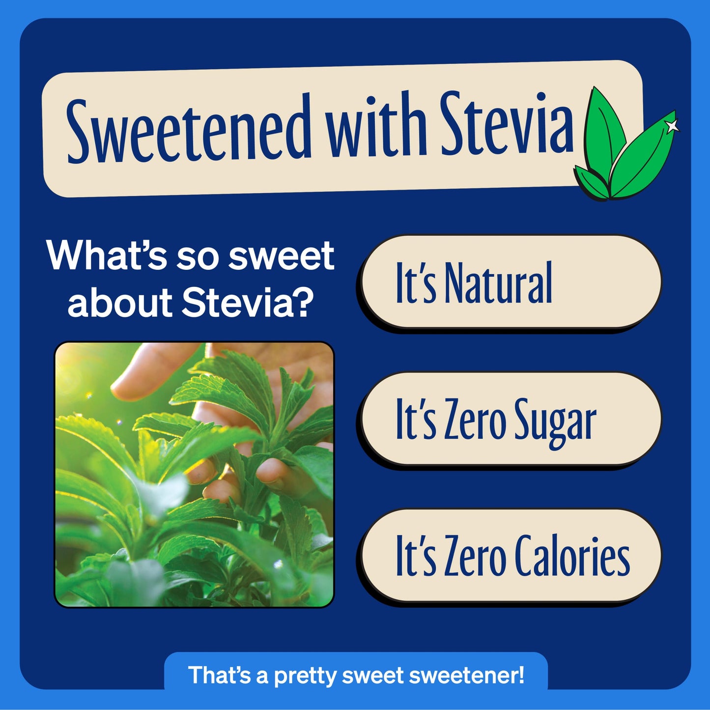 Zevia Zero Sugar, Vanilla Cola Soda, 12 Fl Oz Cans (Pack of 8)