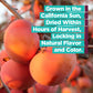 Organic Dried Persimmons From Bella Viva Orchards, 1 Lb. Bag