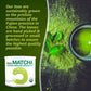 DrinkMatcha Organic Matcha Green Tea Powder 1 LB 100% Pure Matcha | Nothing Added | Perfect for Lattes, Smoothies, Baking (16 Ou