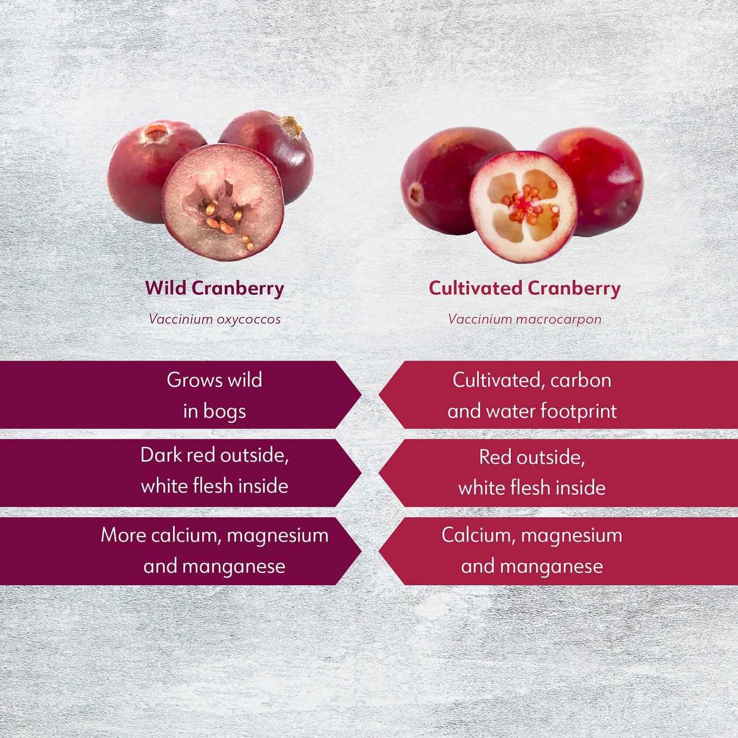Wild Organic Freeze Dried Cranberry Powder, 6 Oz, 35-Day Supply, From Nordic Forests, No Added Sugar