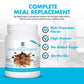 Yes You Can! Meal Replacement Shake - 30 Servings, 20g Protein, 22 Vitamins & Minerals, Chocolate Flavor