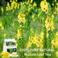 Tempoak 60 Mullein Leaf Tea Bags - 100% Pure, Caffeine Free, Non-GMO, No Additives, No Sugar