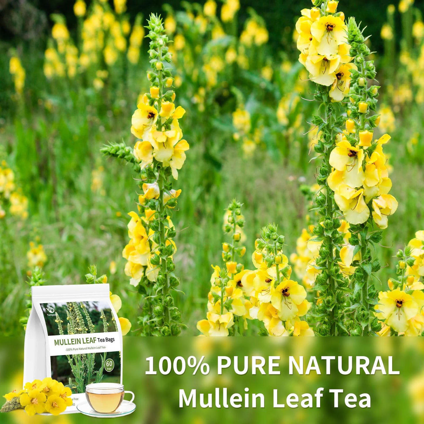 Tempoak 60 Mullein Leaf Tea Bags - 100% Pure, Caffeine Free, Non-GMO, No Additives, No Sugar