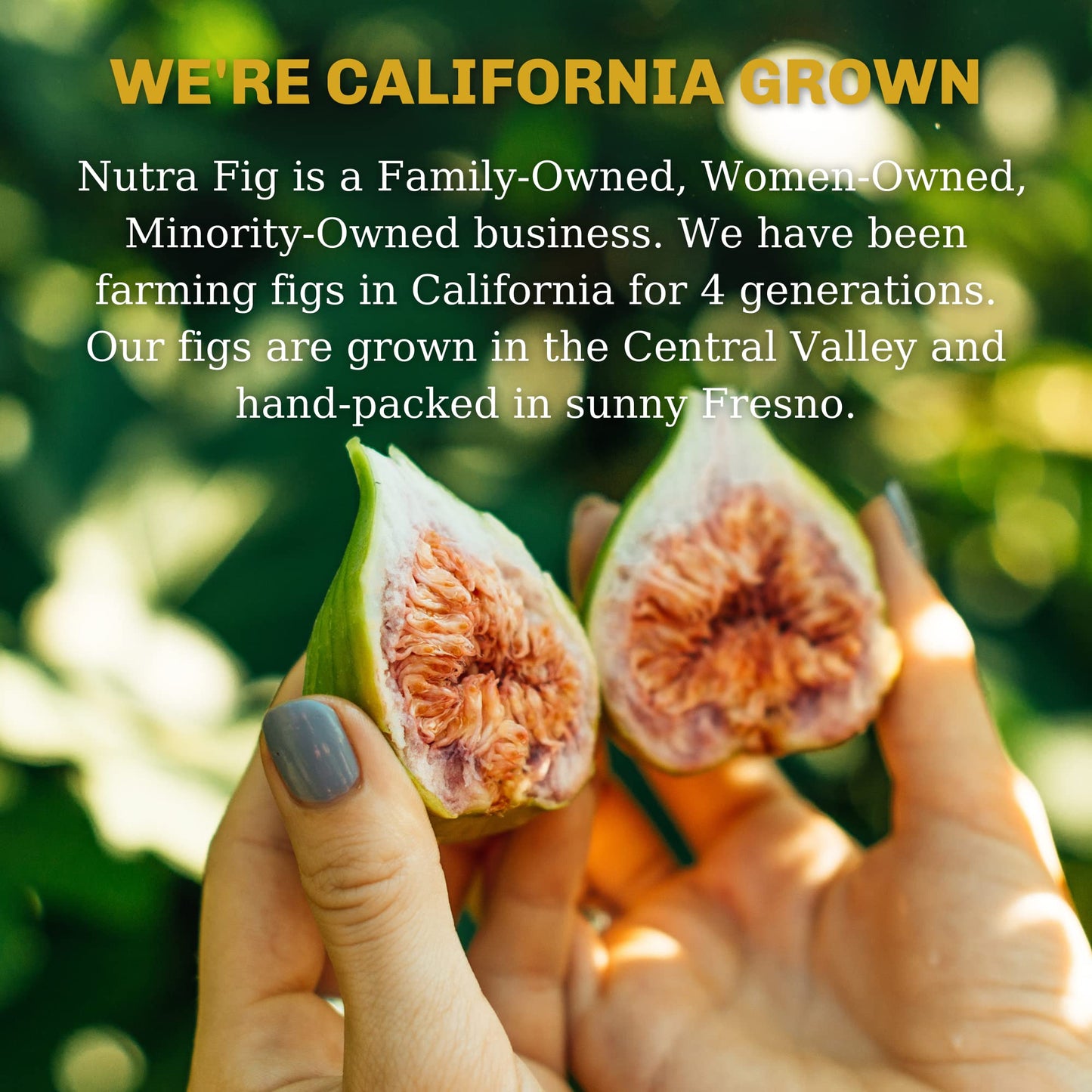 Nutra Fig Dried Figs - No Sugar Added, Gluten-Free, High Fiber, 9 Oz