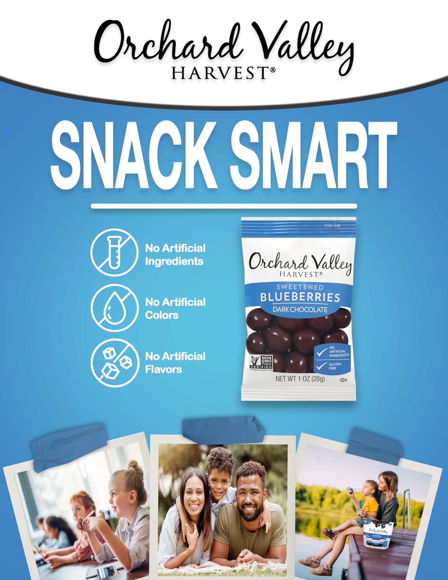 Orchard Valley Harvest Dark Chocolate Covered Blueberries, 1 Ounce(Pack Of 15), Gluten Free, Non-Gmo, No Artificial Ingredients