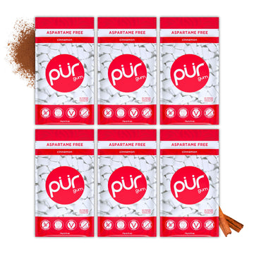 Pur Gum | Aspartame Free Chewing Gum | 100% Xylitol | Natural Cinnamon Flavored Gum, 55 Pieces (Pack Of 6)