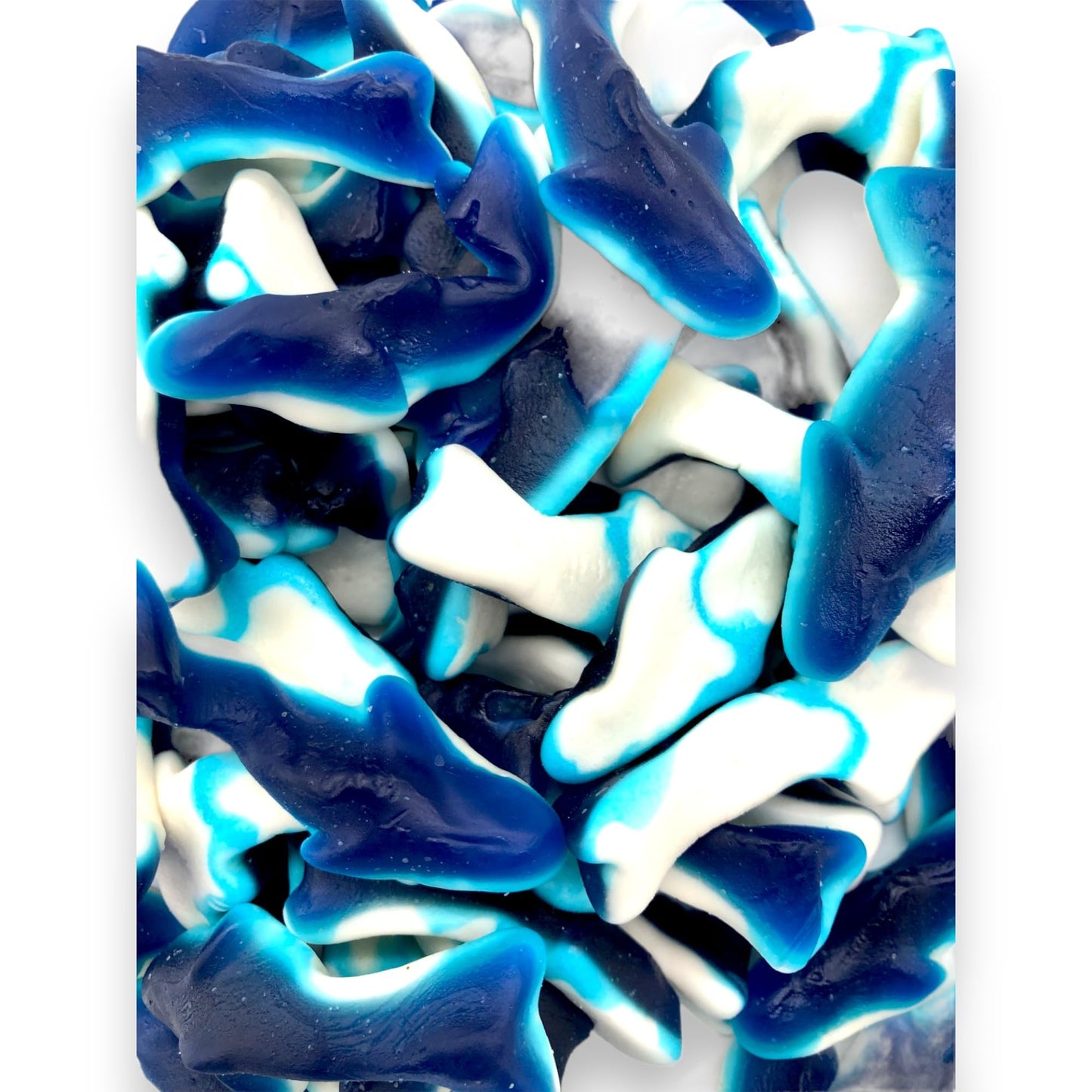 KLUB BULK Premium Blue Shark Gummies - Fruity & Sweet Gummy Candy - Bulk 1.5 lbs (24 oz)