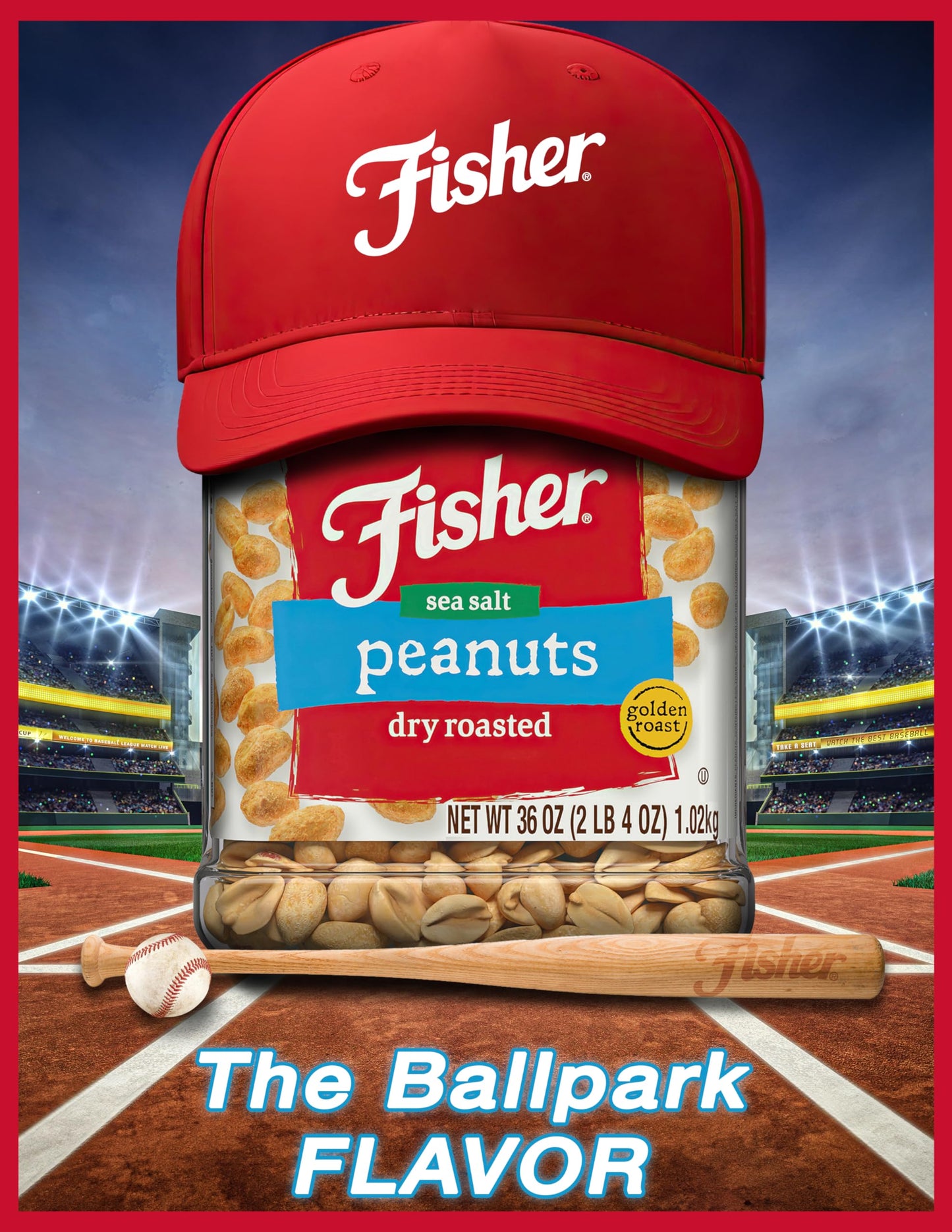 Fisher Sea Salt Dry Roasted Peanuts, 36 oz (Pack of 6) - No Artificial Colors or Flavors, 100% Recyclable Snacks