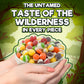 Bigfoot Sour Drops, Freeze Dried Candy, 4 Oz, Assorted Strawberry, Orange, Lemon, Grape, Lime Flavors, Bag Pouch, Ideal Gift Snack