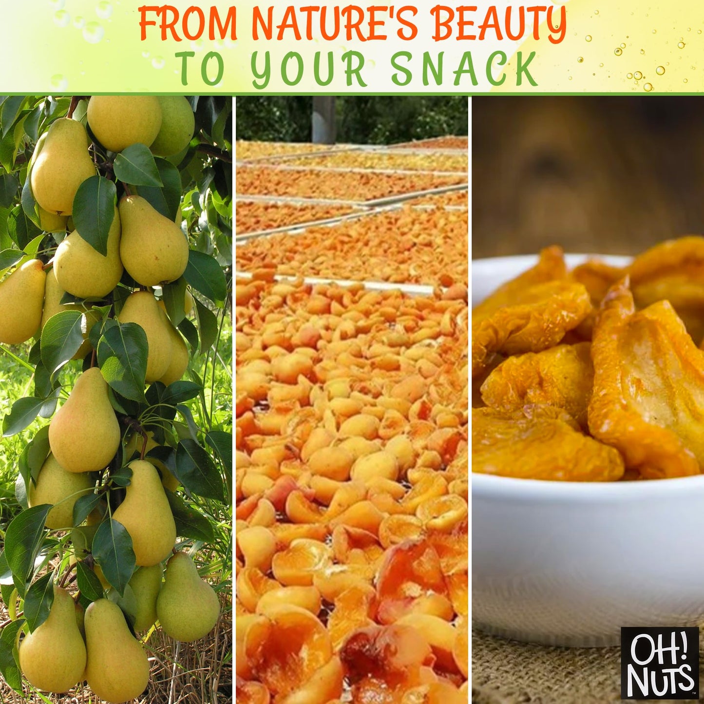 Dried Pears California | 2 lb - Dried Fruit Sliced | No Sugar Added | Dehydrated Fruit Bites | Packed in New York Zip-Seal Bag f