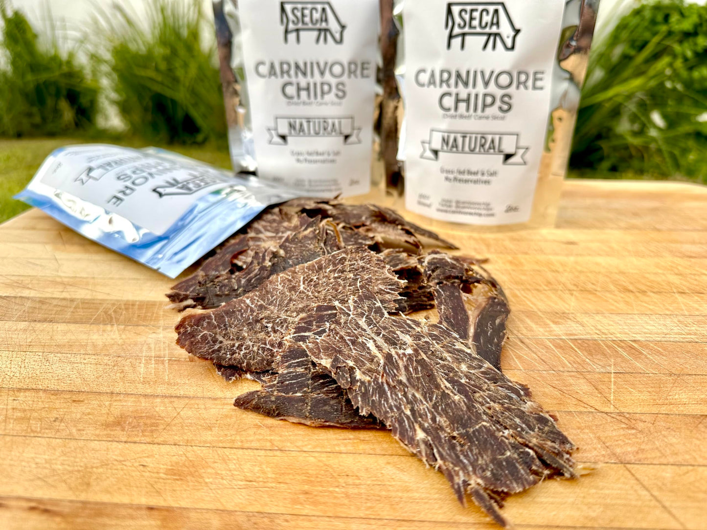 SECA - Carnivore Chips - 1lb bag, Natural, Grass fed Beef and Salt, Carne Seca- Keto, Carnivore, Paleo, 1 pound bag