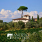 ANCIENT OLIVE TREES - Balsamic Vinegar | Aceto Balsamico di Modena IGP | Perfect for Any Sauce, Marinade, Salad, Fruit, or Veget