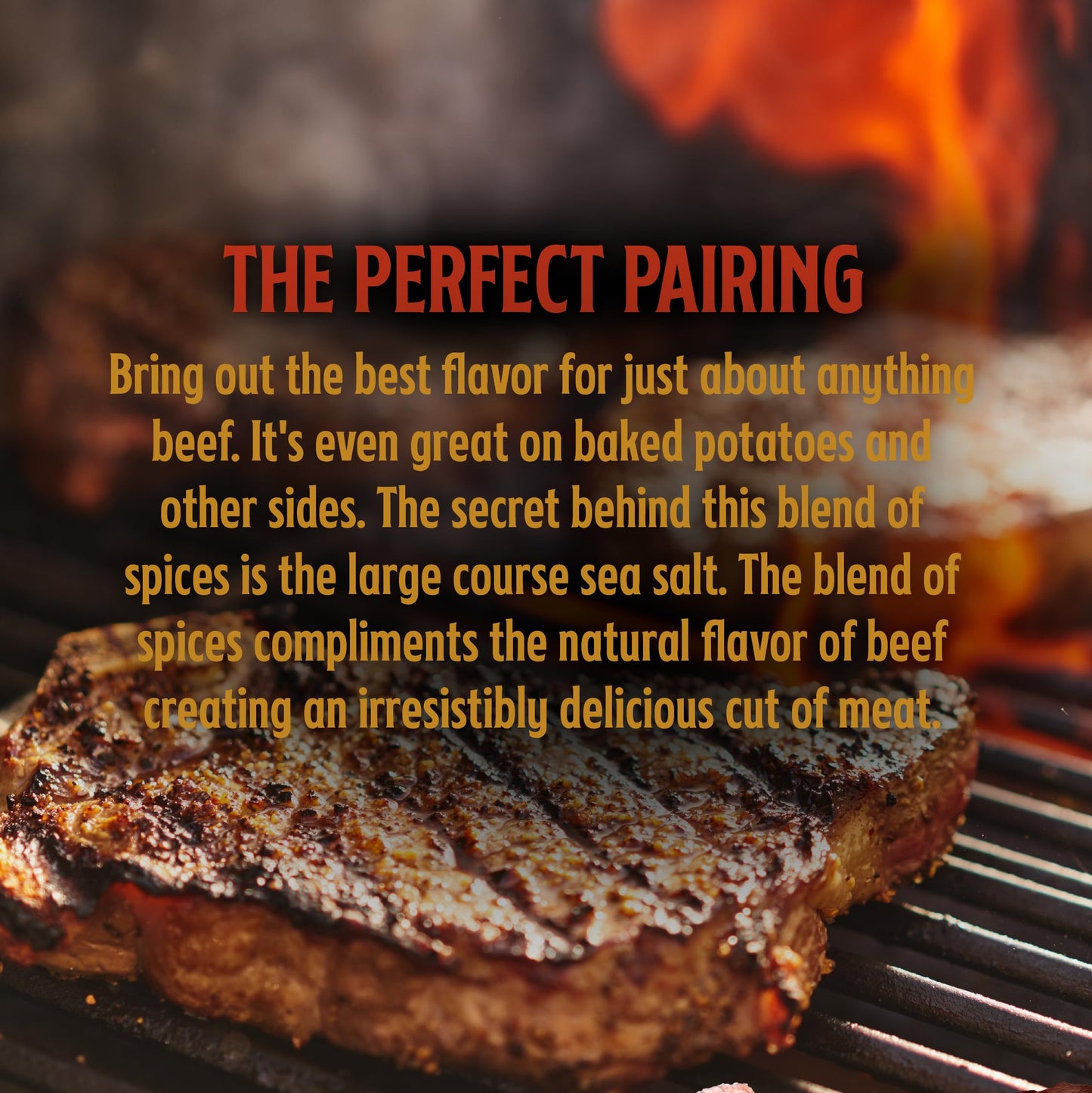 Big Poppa Smokers Double Secret Steak Rub - 3 Pack Bundle, 14 Ounce Each