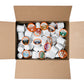 Fresh Roasted Coffee Dynamite Dozen Flavored K-Cup Compatible Variety Pack, 144 Count