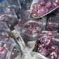 Generic Freeze Dried Ube Brittle - Gourmet Snack with Coconut & Macadamia Nuts, 4oz Bag, Boldly Tropical Flavor