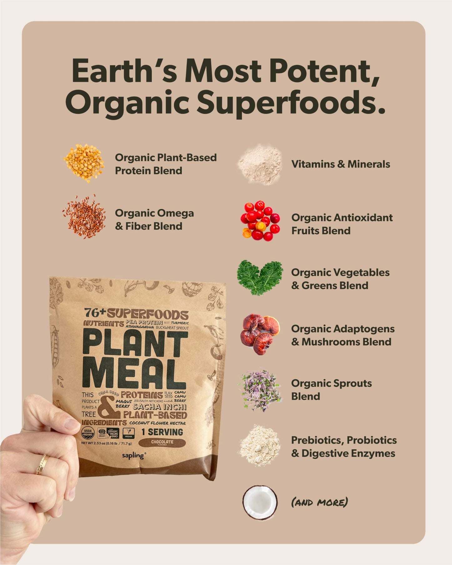 Plant Meal Replacement Shake - Chocolate - 25g of Plant Based Vegan Protein Powder, 76+ Organic Superfoods, Vitamins & Minerals,