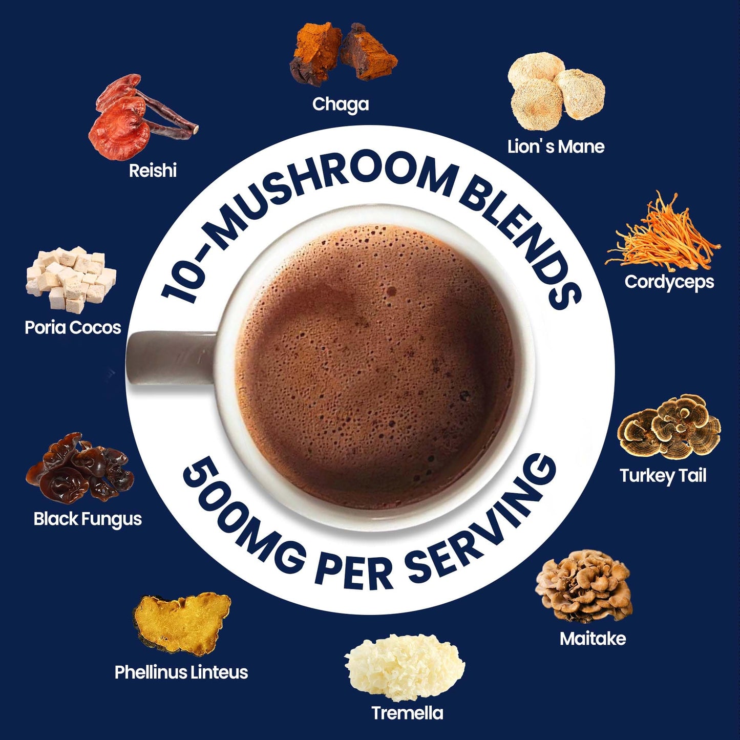 Mushroom Hot Chocolate for Calm, 50 Servings Cocoa Powder | 10 Mushrooms Supplements with Magnesium Glycinate, L-Theanine, Ashwa