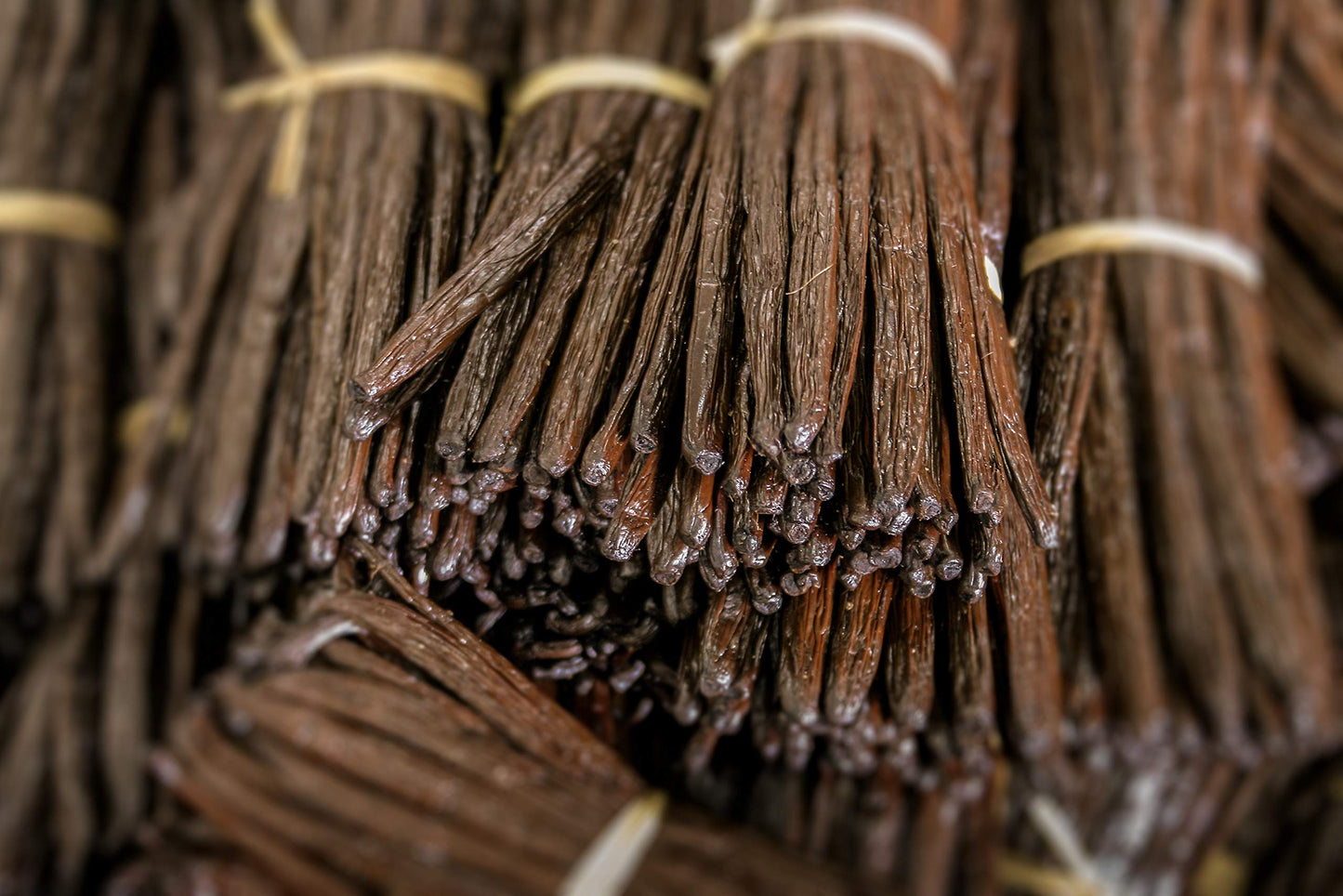 Vanilla Bean Kings Organic Madagascar Vanilla Beans - Whole Grade A Pods, 50 Count, Black/Dark Brown