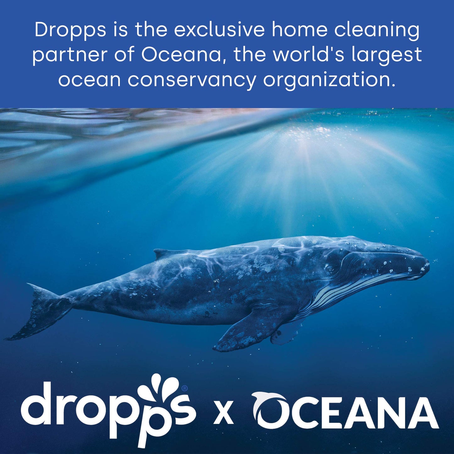 Dropps Dishwasher Detergent Pods: Unscented 64 Count Powers Away Baked On Food No Pre-Wash Powered By Natural Mineral-Based Ingr