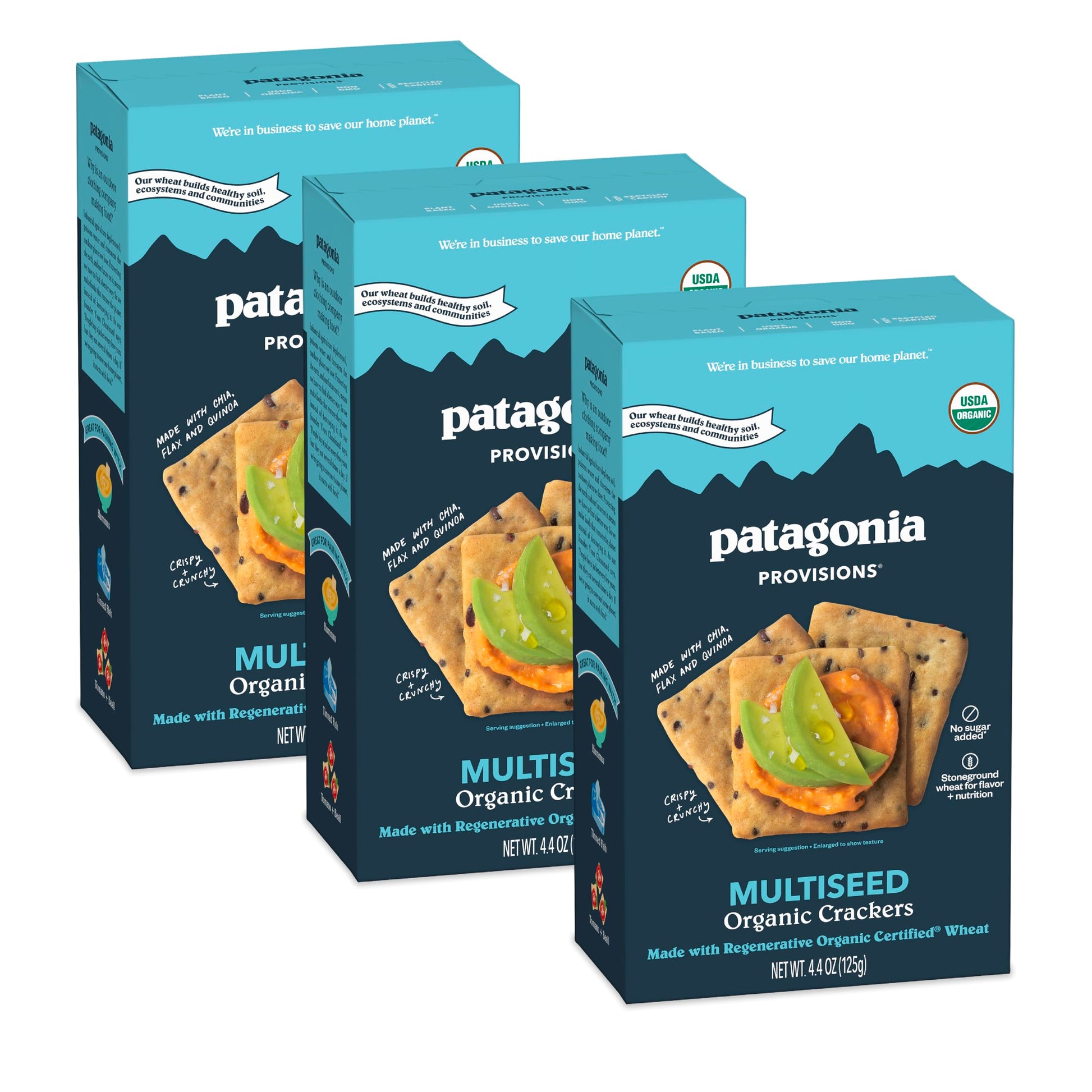 Patagonia Provisions Organic Multiseed Crackers, 3g Protein, Non-GMO, 4.4 oz (Pack of 3)