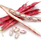 Hunza Organic Cranberry Beans (2 Lbs)