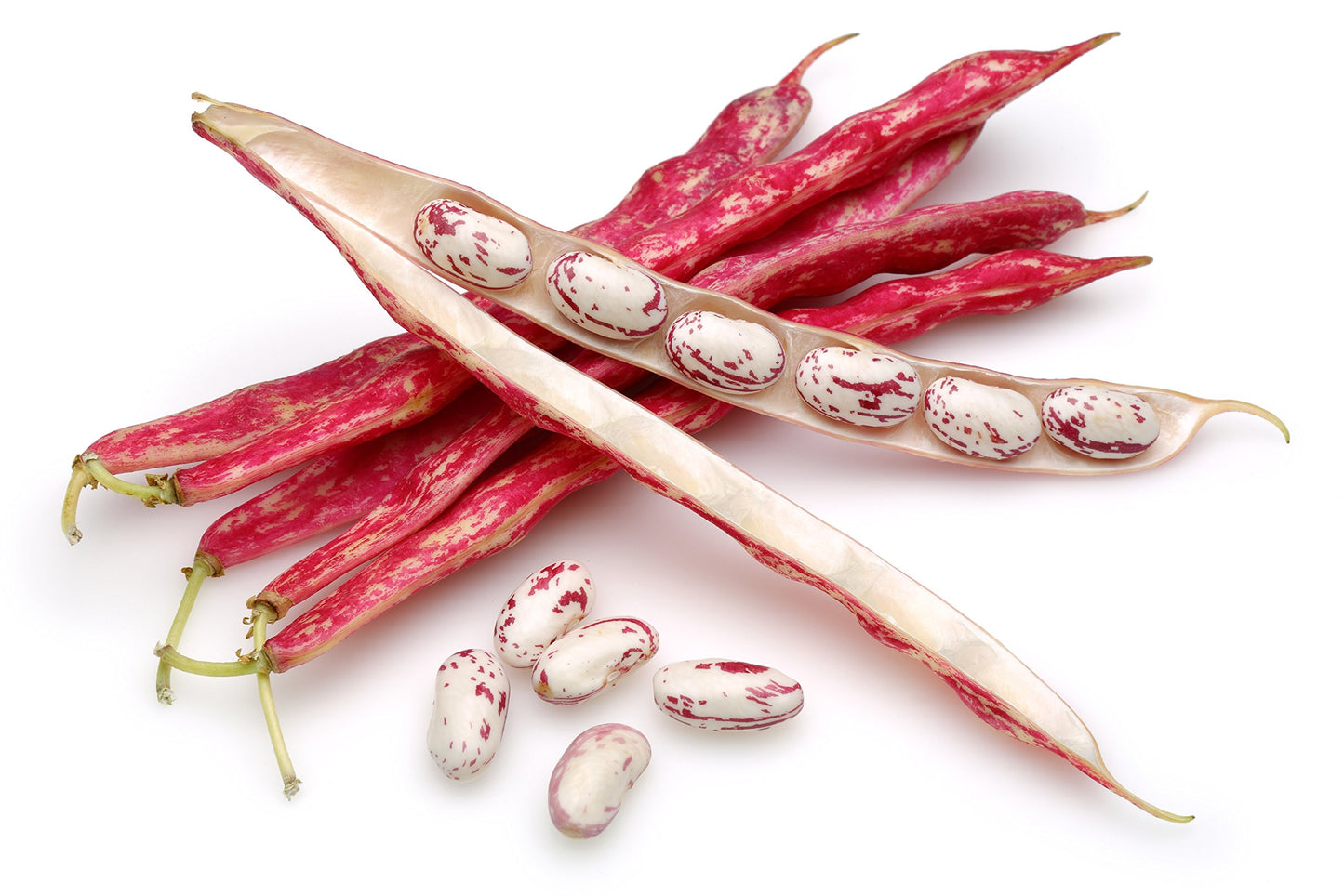 Hunza Organic Cranberry Beans (2 Lbs)