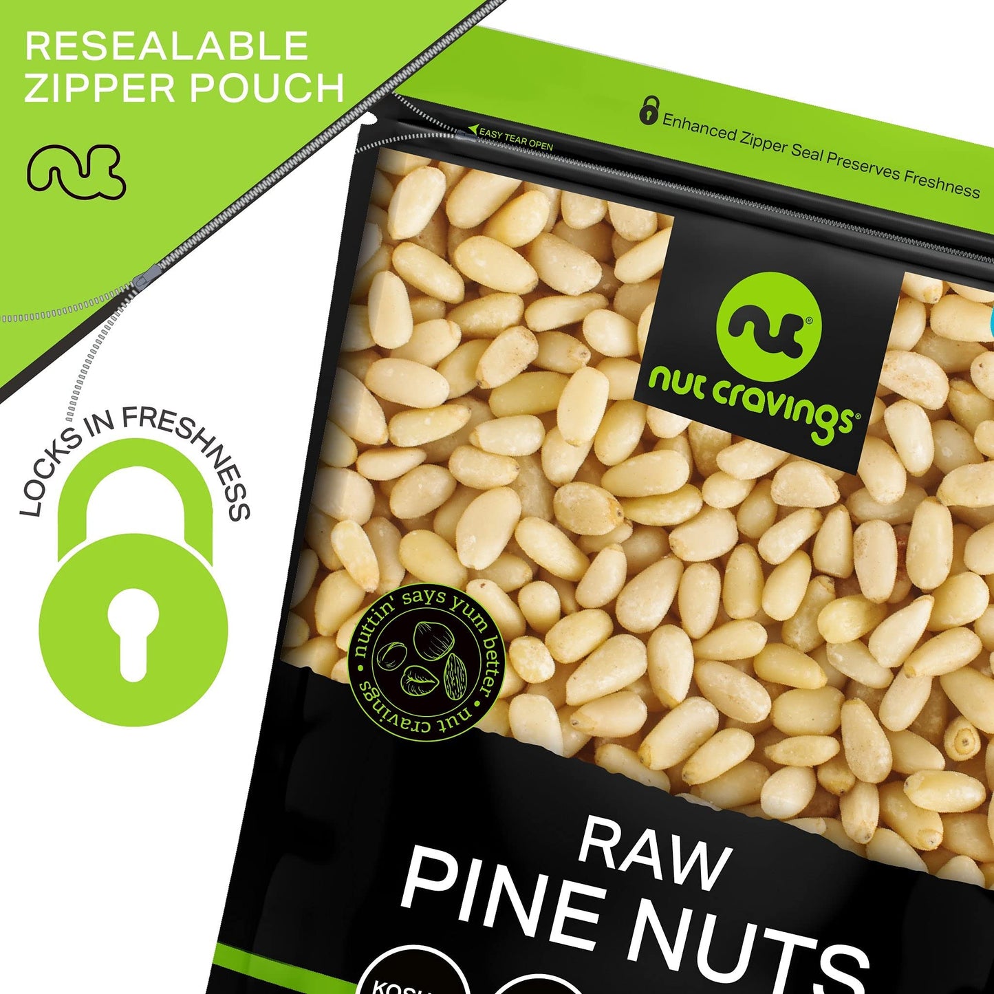 NUT CRAVINGS - Raw Pine Nuts Pignolias, Unsalted, Shelled, (32oz - 2 LB) Bulk Nuts Packed Fresh in Resealable Bag - Kosher Healt